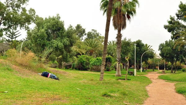 Olhäo park — Stock fotografie