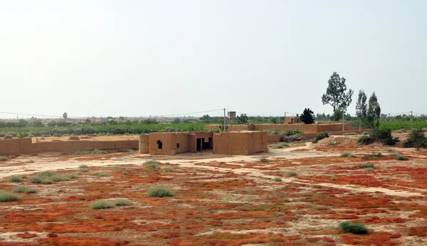 Campagne marocaine — Photo