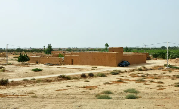 Campagne marocaine — Photo