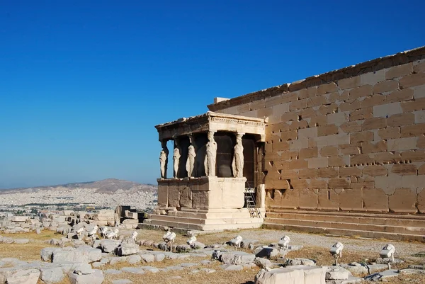 Statyer av veranda av karyatides — Stockfoto