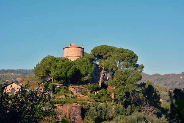 Portofino Italia Castillo de Brown — Foto de Stock