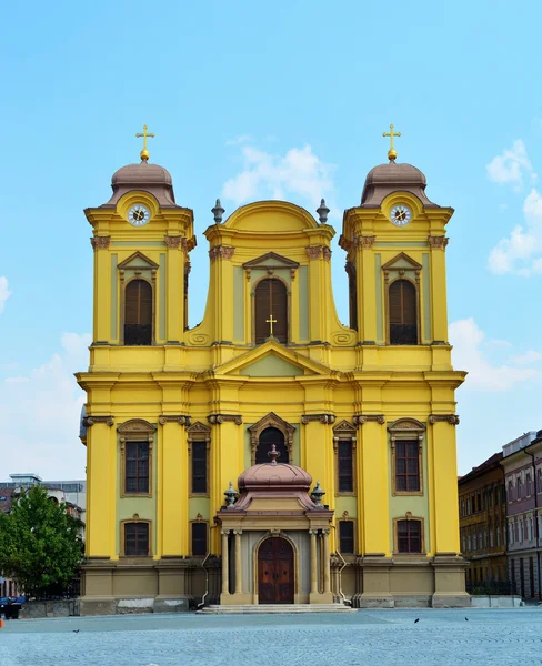 Timisoara Cathedral of Saint George — Stok fotoğraf