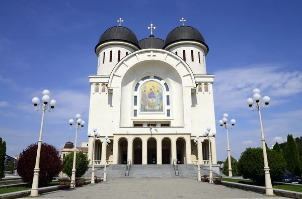 De kathedraal van de heilige drie-eenheid — Stockfoto