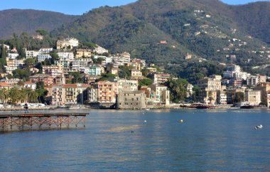 Portofino shore