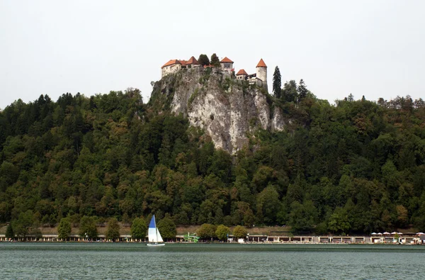 Bled castle — Stock Photo, Image