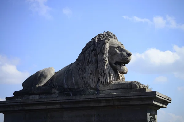 Budapest Lion — Stock Photo, Image