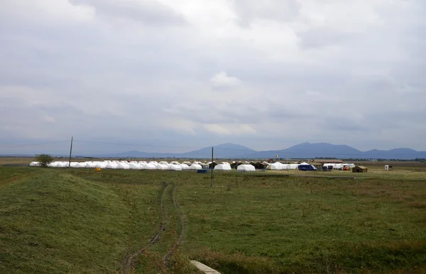 ルーマニア難民キャンプ — ストック写真