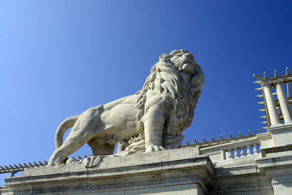 ブダペストのライオン — ストック写真