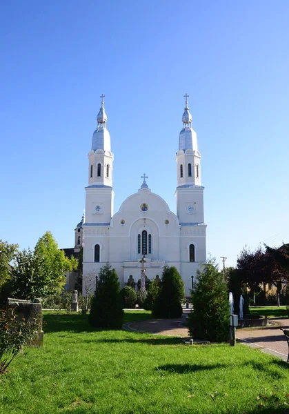 Bacova Köyü Kilisesi — Stok fotoğraf