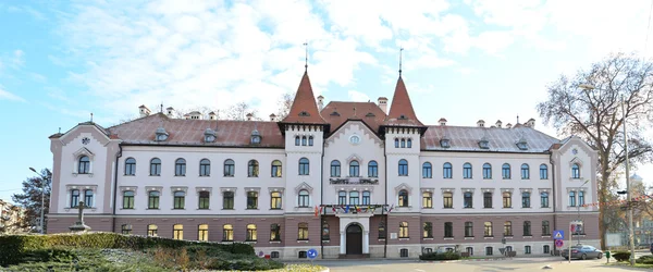 Rathaus von Lugoj — Stockfoto