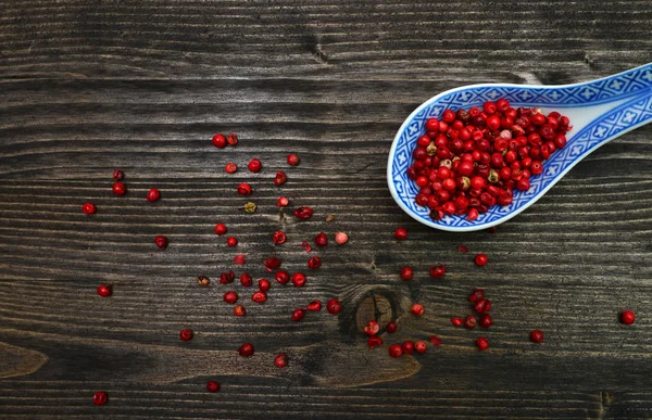 Lžíce červené papriky — Stock fotografie