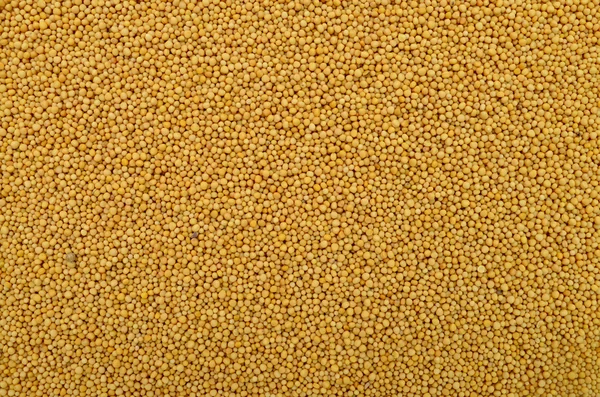 Mustard seeds texture — Stock Photo, Image