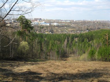 Bahar orman ve şehir