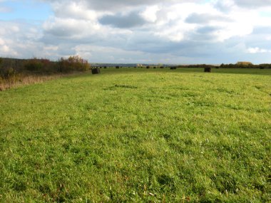 samanlık ve alan yeşil çimen