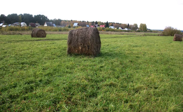 Stóg siana i pole trawa zielony — Zdjęcie stockowe