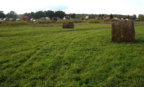干し草の山と緑の芝生のフィールド — ストック写真