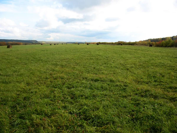 Heuhaufen und Feld mit grünem Gras — Stockfoto