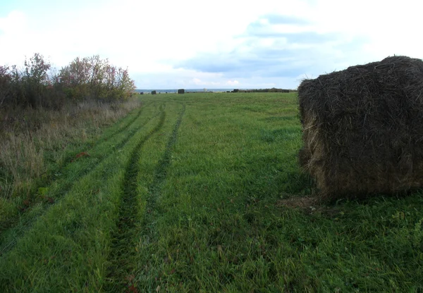 Meule de foin et champ d'herbe verte — Photo