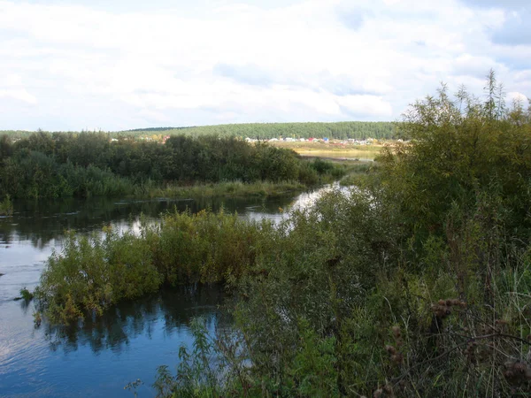 Foresta e fiume — Foto Stock