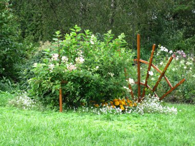 bir parkta flowerbed