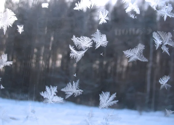 Frosty pattern on glass winter window — Stock Photo, Image