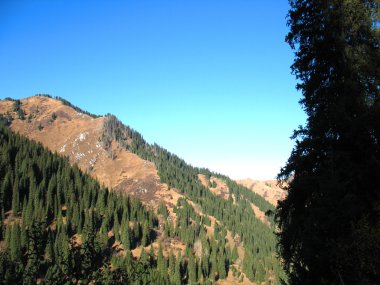 dağ, gökyüzü, ağaçlar