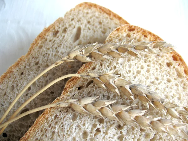 Bread and ears — Stock Photo, Image