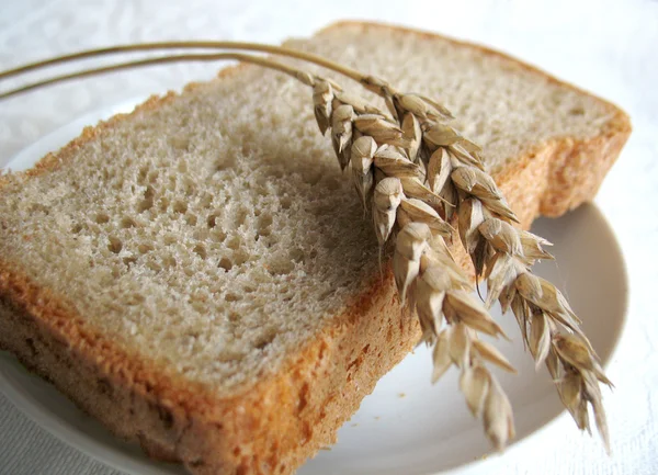 Bread and ears — Stock Photo, Image