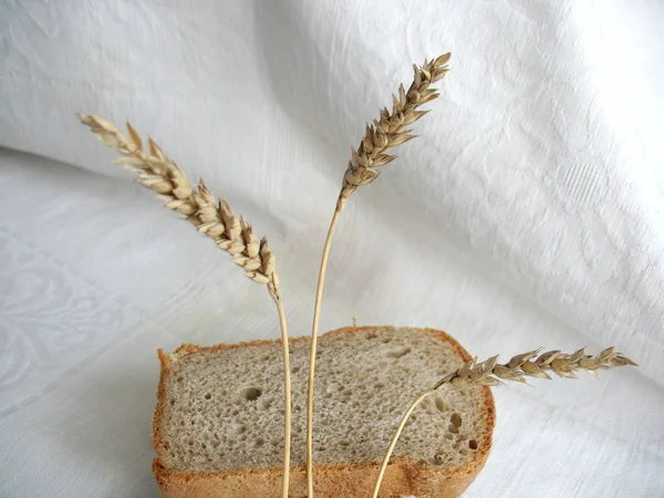 Bread and ears — Stock Photo, Image