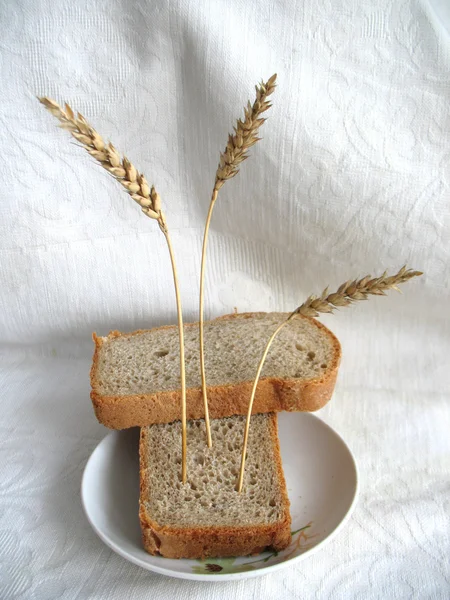 Pane e orecchie — Foto Stock