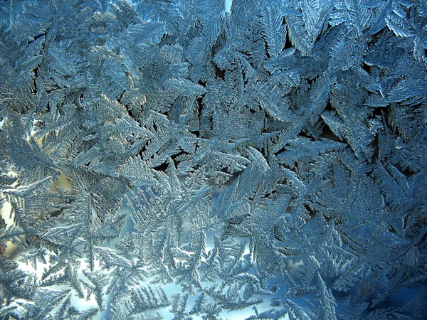 Ventana de invierno congelada —  Fotos de Stock