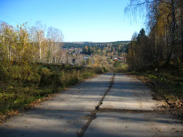 Autumn leaves — Stock Photo, Image