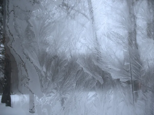 donmuş kış penceresi