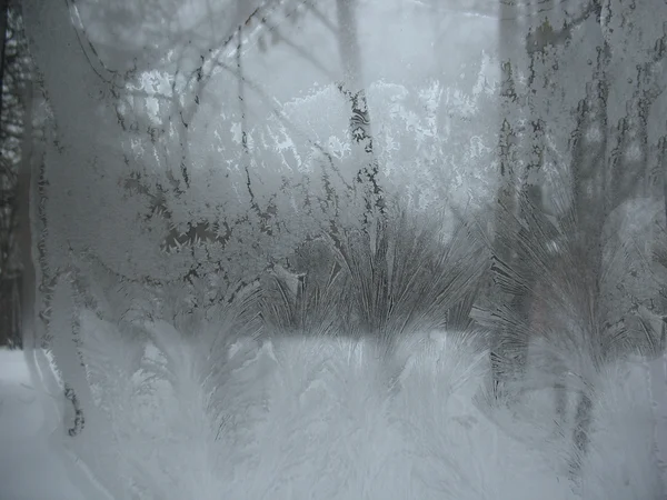 Janela de inverno congelada — Fotografia de Stock