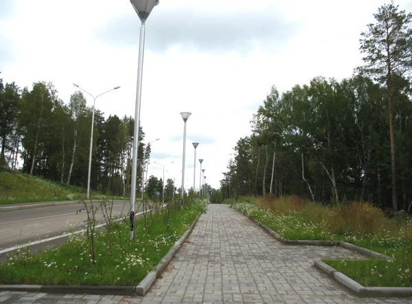 Village road — Stock Photo, Image