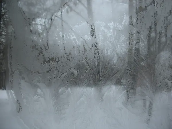 Janela de inverno congelada — Fotografia de Stock