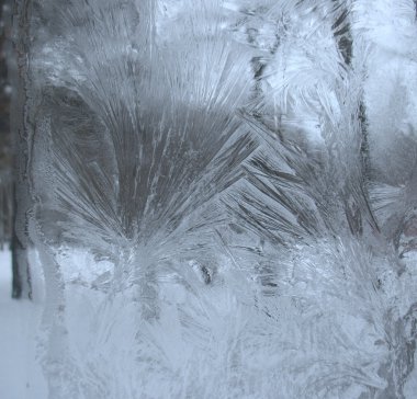 donmuş kış penceresi