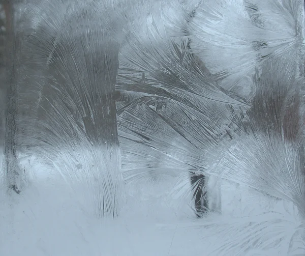 donmuş kış penceresi