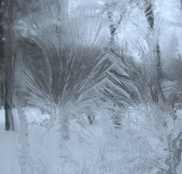 donmuş kış penceresi