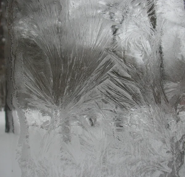 Ventana de invierno congelada — Foto de Stock