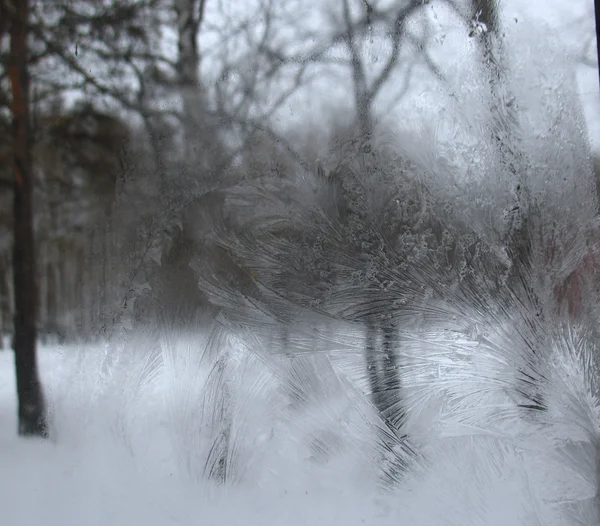 Frusna vintern fönster — Stockfoto