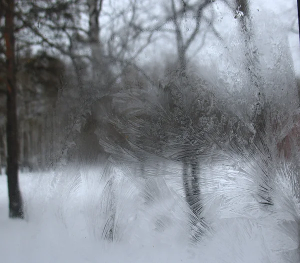 Fenêtre d'hiver gelée — Photo