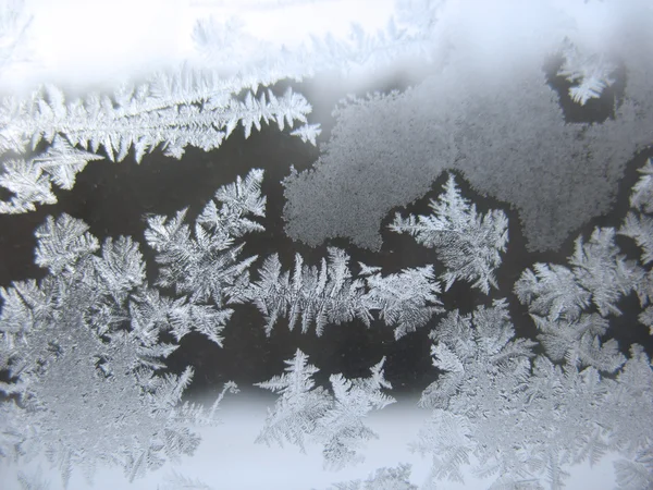 Winterfenster eingefroren — Stockfoto