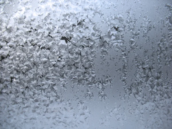 冬の窓の霜模様 — ストック写真