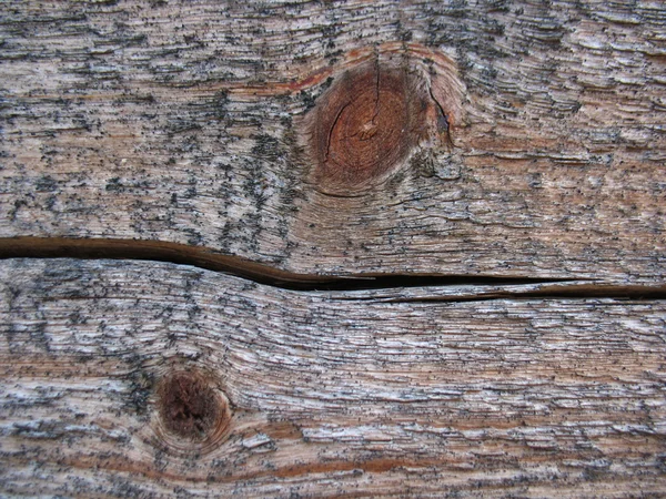Structure du panneau de bois — Photo