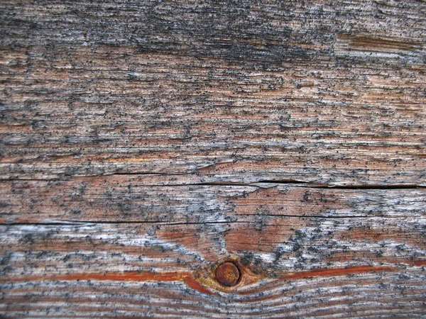 Structure of wood board — Stock Photo, Image