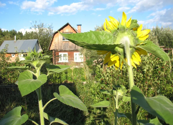 Utsikt över byn — Stockfoto