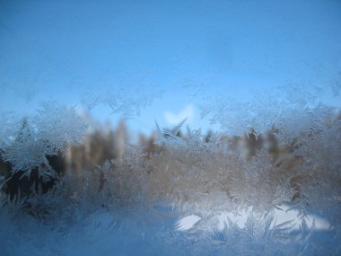 donmuş kış penceresi