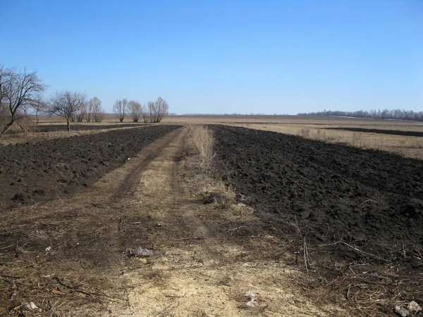 Weg en veld — Stockfoto