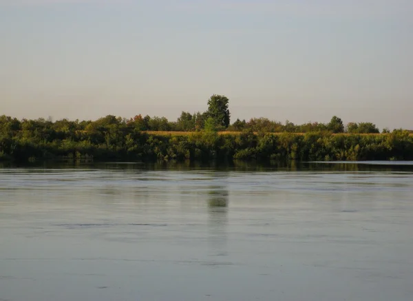 Lake en planten — Stockfoto